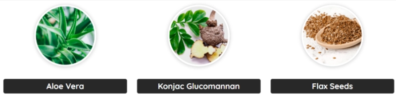Aloe Vera, Konjac Glucomannan, Flax Seeds