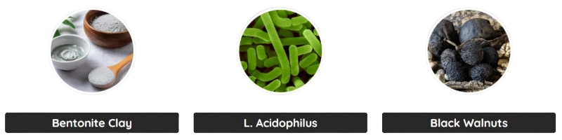 Bentonite Clay, L. Acidophilus, Black Walnuts