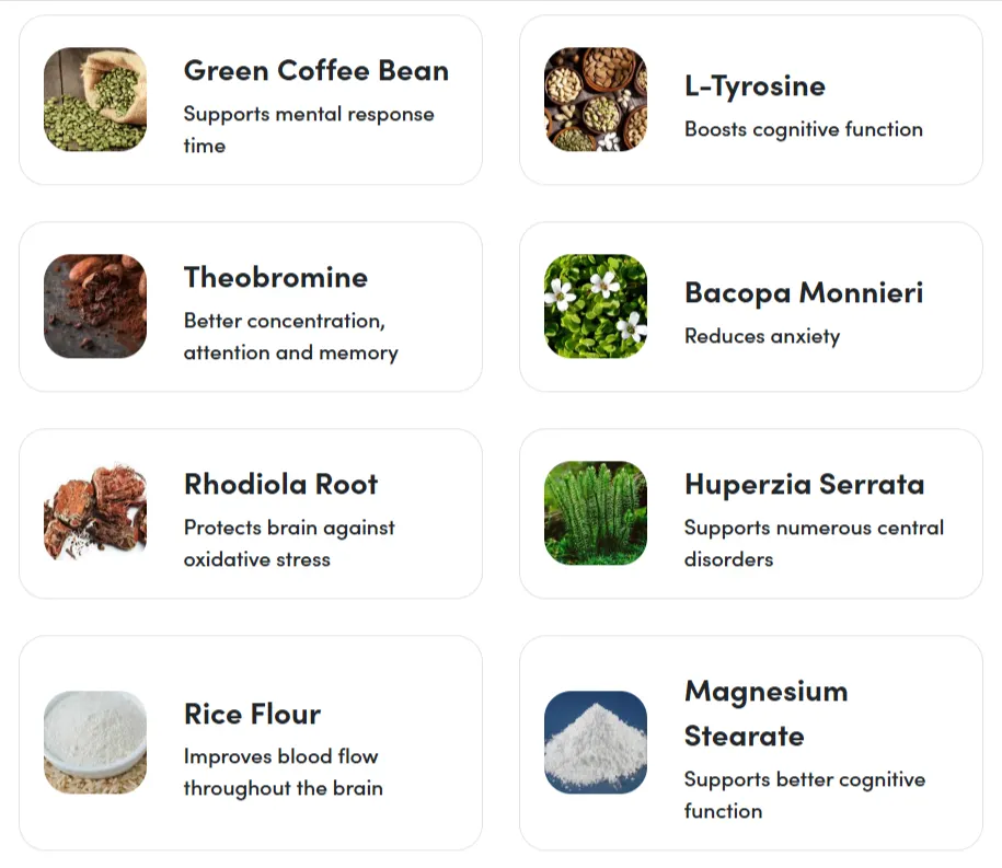 Cognicare Pro Ingredients